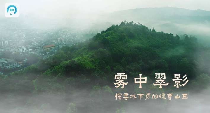 PICO视频8月上新:穿越机视角城市绿浪与数字雨林沉浸体验 第2张 PICO视频8月上新:穿越机视角城市绿浪与数字雨林沉浸体验 第2张