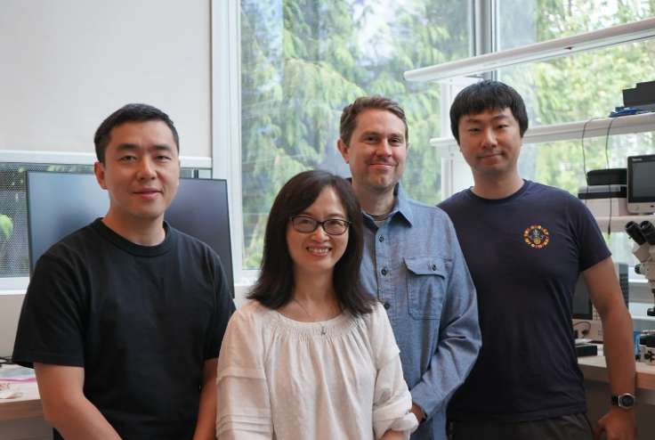 Meta Reality Labs发布Tiramisu与Boba3原型：突破VR显示技术边界  第6张