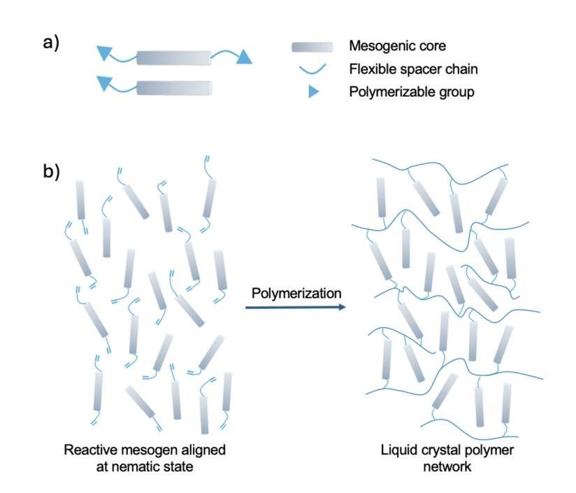 Meta开发新计算方法加速液晶聚合物光学材料发现