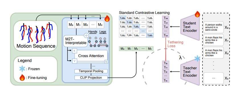 北卡罗来纳大学团队提出运动感知CLIP优化模型MoCLIP