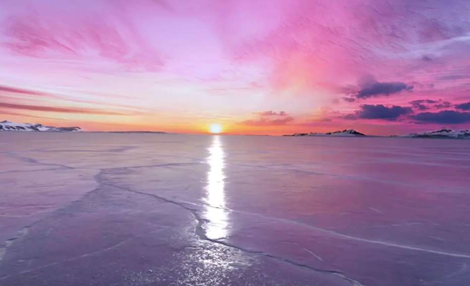 PICO Store每周新内容  第3张