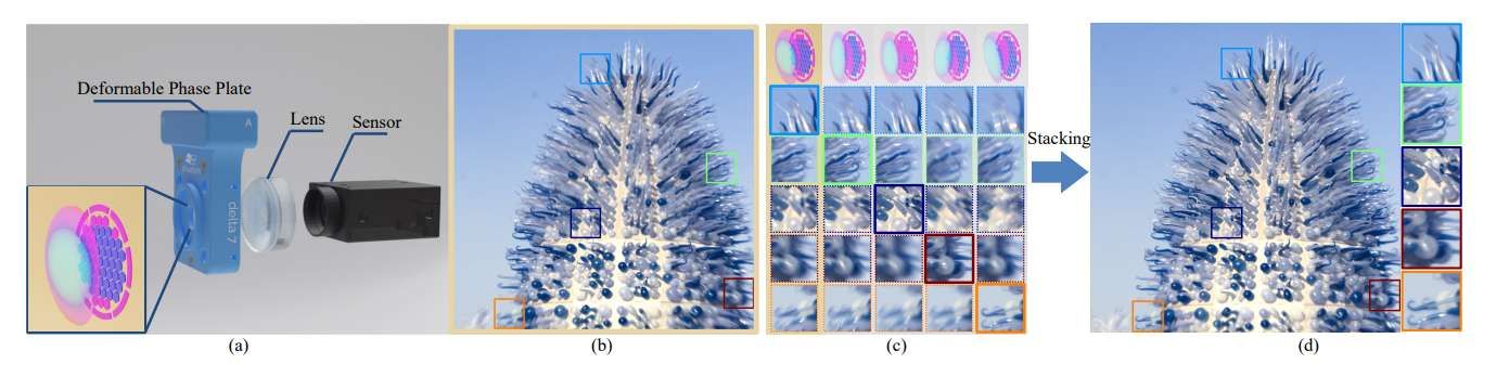 研究团队利用可变形相位板实现动态局部像差校正的焦点堆叠成像系统