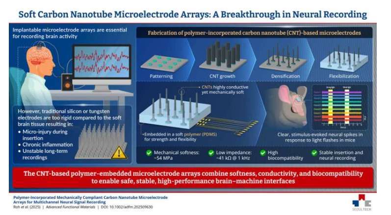 韩国研究团队开发碳纳米管微电极阵列用于脑机接口