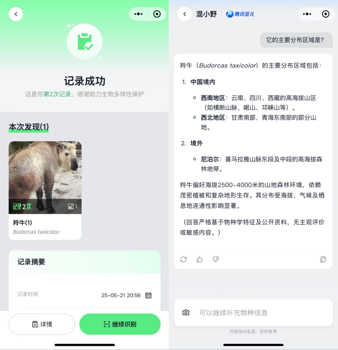 你的手机镜头可变身“自然翻译器”  腾讯“野朋友计划”联合腾讯混元上线物种识别AI 第2张