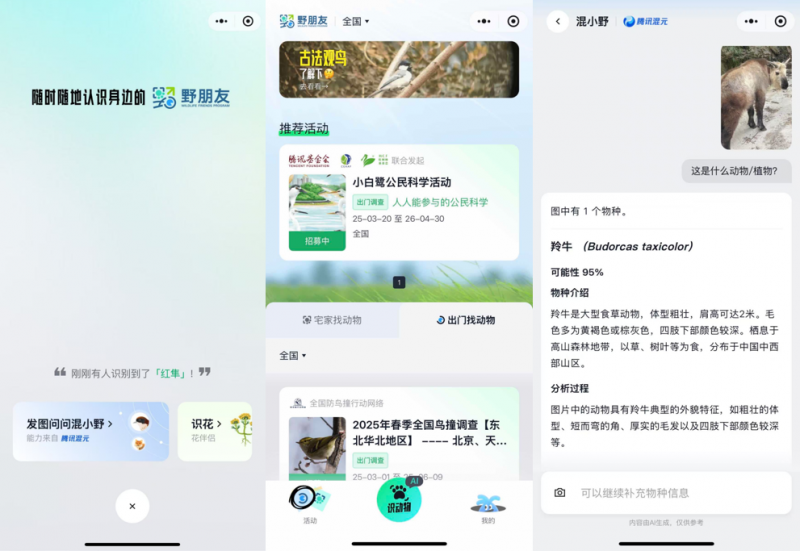 你的手机镜头可变身“自然翻译器”  腾讯“野朋友计划”联合腾讯混元上线物种识别AI