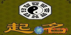 公司起名,商铺起名注册名字大全,抢到看到就是赚到,工商注册名字大全